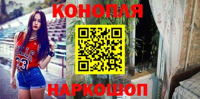 индика Ипатово
