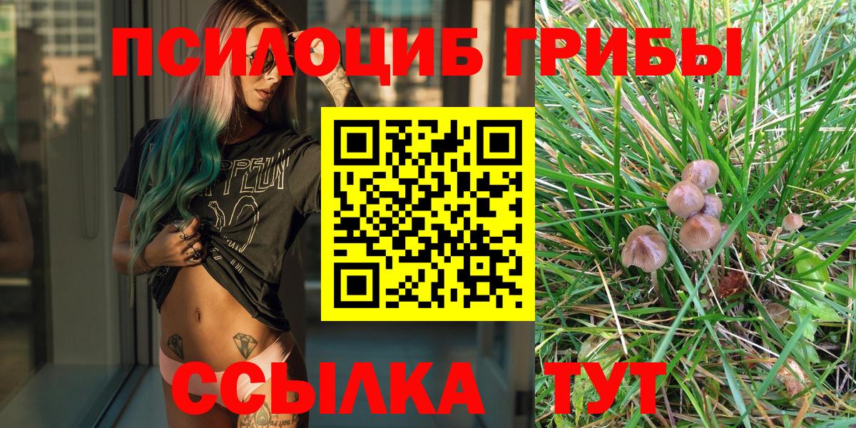 Валуйки  Галлюциногенные грибы Magic Shrooms  Вход с VPN 